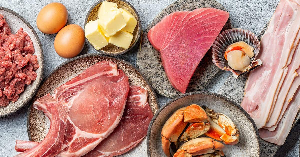 Dieta Carnivore: la guida